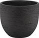 Olijfboom Olea Europaea Cultivo inclusief Terreno New Egg - 210cm