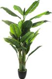 Atmosphera Kunstplant Bananenboom met pot - 116x116x168cm - Groen