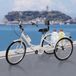 Corvance B.V. Tricycle – 7 Vitesses – Cadre en Acier – Cadre Pliant - Orange