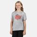 Regatta Kid's Alvardo V Graphic T-Shirt - Grijs - Maat 5-6 Jaar