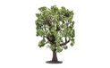 Hornby R7220 Eikenboom voor modelspoorweg OO-meter, modeltreinaccessoires voor het toevoegen van landschap, diorama's, bos, gebouwen en meer, modelbouwsets - 1:76 schaalmodelaccessoire