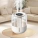 StarTech Luchtbevochtiger - Ultrasone koude mist - 6,8 liter tank - 2 nozzles -