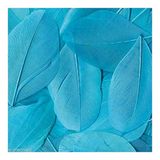 Artemio Artémio Veren-turquoise-zakje 3 g gladstrijken Lg Artémio ca. 6 cm.