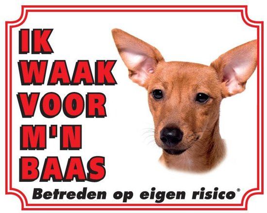 Stickerkoning Miniatuur Pinscher Waakbord Bruin 20 x 25 cm