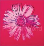 Your Decoration B.V. Impression d'art Andy Warhol - Daisy 1982 90x90cm