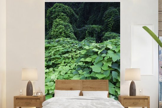 Nr1Wallpaper Behang - Fotobehang - Gekleurde kudzu tijdens een heldere middag - Breedte 145 cm x hoogte 220 cm