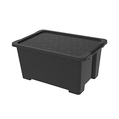 Rotho Evo Easy Opbergkist 44l