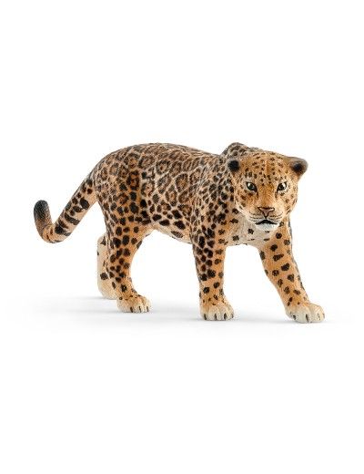 Schleich Wild Life 14769 - Speelgoedfiguren kinderen - bruin - dieren