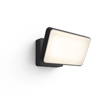 Philips Hue White Welcome Outdoor Floodlight - Black - Smart - 2600 lm - Dimmable