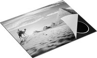 Chefcare Inductie Beschermer Egyptische Piramides Zwart Wit 65x55 cm