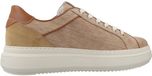 Nero Giardini E615282D Baskets basses Femme Brun