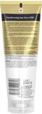 John Frieda Blonde+ Repair Bond Building Conditioner - 6 x 250 ml - Voordeelverpakking