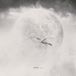 Astralia - Solstice (CD)