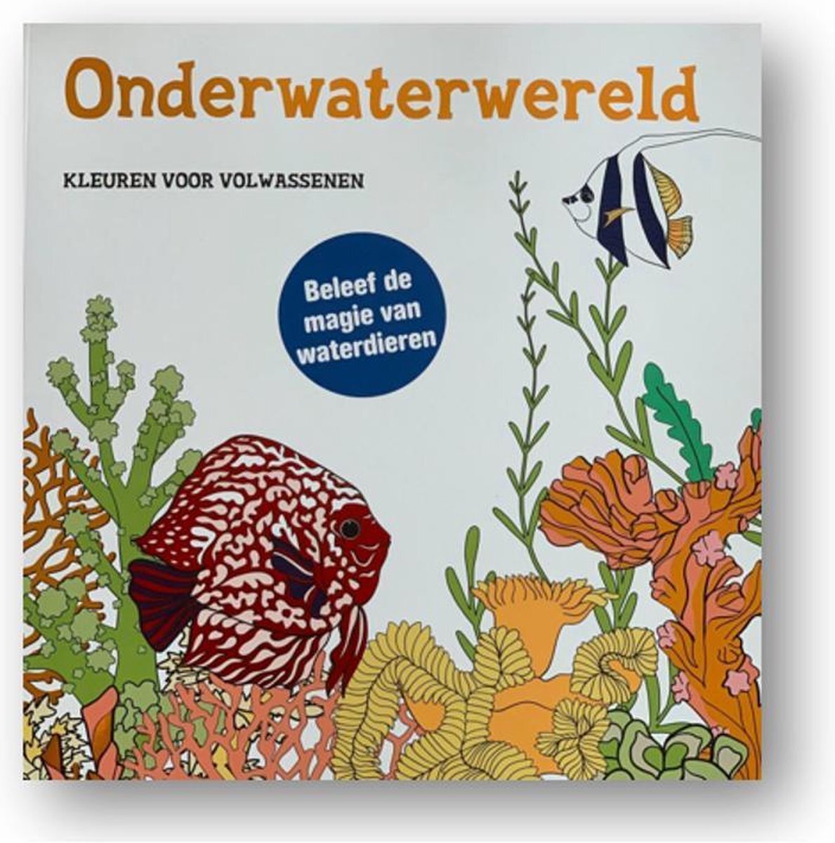 Kleurboek voor volwassenen - onderwaterwereld - 29 x 29 cm - beleef de magie van waterdieren - Kleurplaten - kleurplaat - tekenen - inkleuren - kleurplaat vissen -