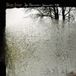 For Bon Iver - For Emma, Forever Ago (LP)