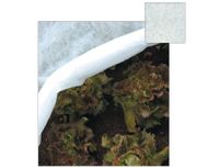 Papillon 53943 Beschermhoes voor plant Polypropyleen (PP) 17 g/m²