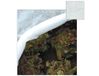 Papillon 53943 Beschermhoes voor plant Polypropyleen (PP) 17 g/m²
