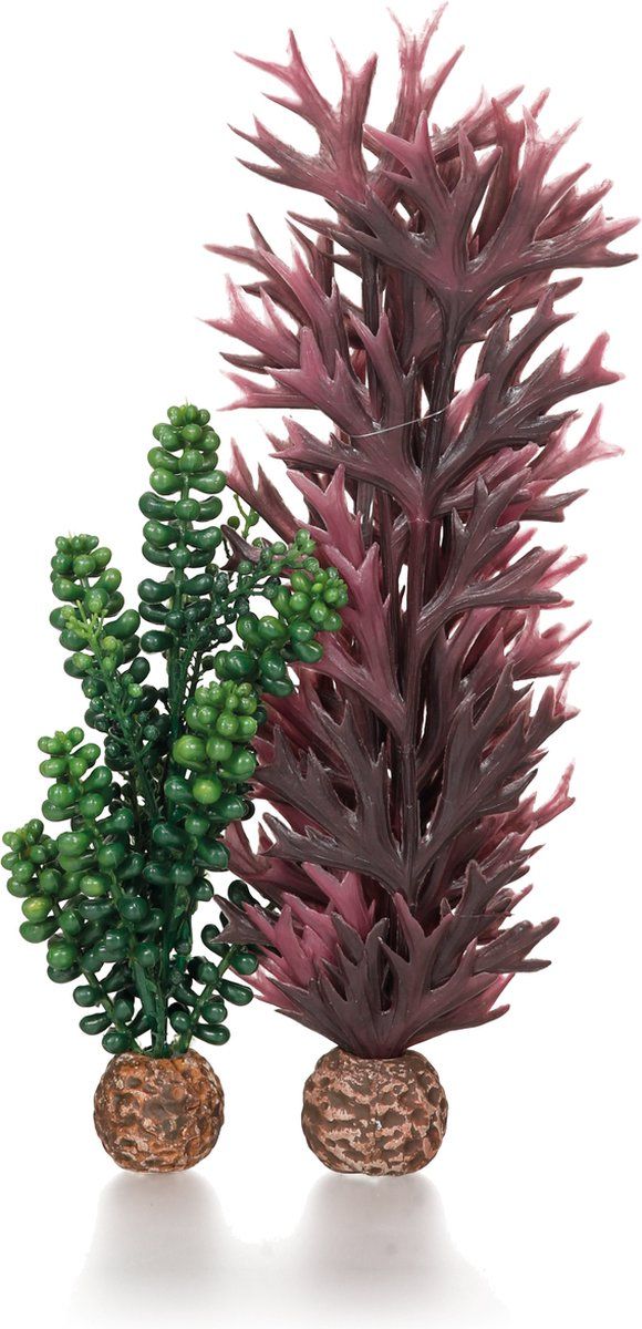 biOrb Zeeparels & Zeewier Olijfgroen