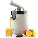 Cecotec RetroJuice 1000 Elektrische juicer Beige