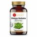 Yango Thé vert - 95% polyphénols - Catéchine + EGCG (90 gélules)