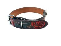Hondenhalsband XXL 48-63 cm