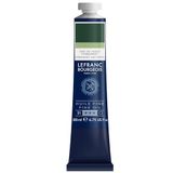 Lefranc Bourgeois 301832 Fijne olieverf van uitstekende kwaliteit, lichtecht met een gelijkmatige consistentie, tube van 200 ml, ideaal voor spieraammen, canvas, schilderbord - Sap groen