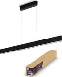 Philips Hue White and Color Ambiance Ensis - Hanglamp - Zwart - 6000 Lumen