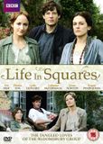 Life Dazzler Life In Squares DVD Standard Edition