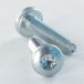 Vis Autotaraudeuse Tête Cylindrique Bombée Large M5x12 Torx T25 Acier Zingué - 100 Pièces
