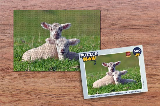 MuchoWow Puzzel Twee lammetjes liggen samen in het hoge gras - Legpuzzel - Puzzel 500 stukjes