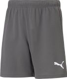 Puma teamRISE Short Junior - Maat 116 - Grijs