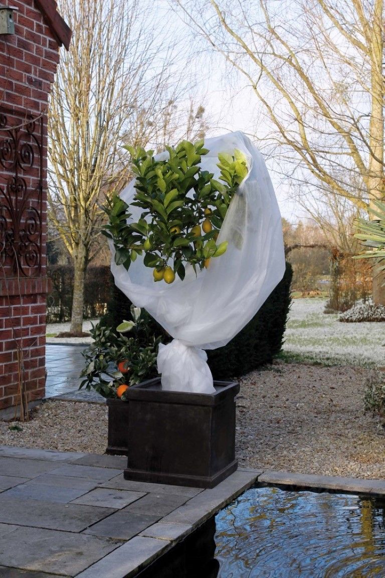 Winterafdekvlies wit - 8711338300909