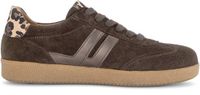 Gabor 6011.01.003 Dames Sneakers - bruin