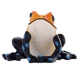 Hobby Aquaristik The Frog 2 I kunstmatige kikker decoratie I 5 x 3,5 x 5 cm