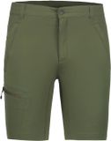 Ice Peak Berwyn Wandelshort Heren Groen M/50