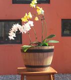 Jinfa pot en plastique aspect bois | couleur : noyer | Design : tonneau | Ø 38 cm