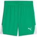 PUMA teamLIGA26 Shorts 706555