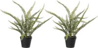 Louis Maes Varen Nephrolepis - Kunstplant - Groen - 50 cm - 2 stuks