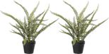 Louis Maes Varen Nephrolepis - Kunstplant - Groen - 50 cm - 2 stuks