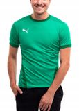 PUMA Heren T-shirt teamGOAL 23 Groen L