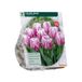 Baltus Tulipa Ohio, Triumph 9 stuks bloembollen