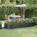 Maison Exclusive - Jardinière surélevée, acier galvanisé, 249x100x36 cm, anthracite