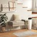 Banc Coffre de Rangement 2 en 1 Assise Veloutée et Piètement Métal - 79,5 x 37,5 x 43 cm Beige et Doré