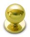 Anzapack 812460J deurknop, verguld messing