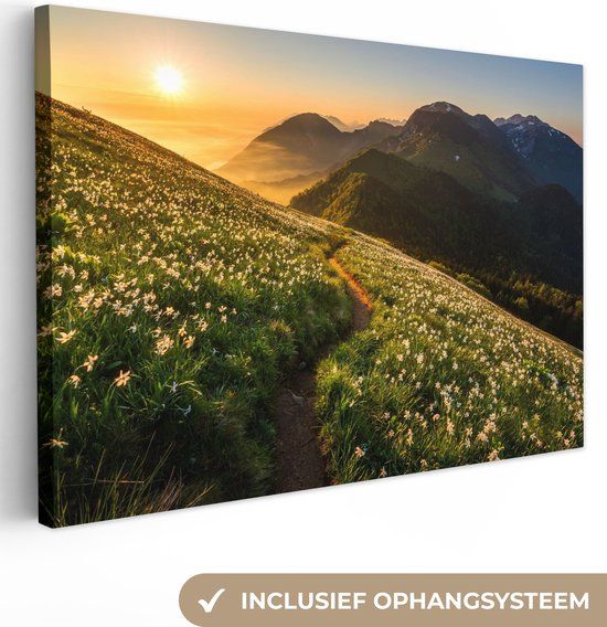 OneMillionCanvasses Canvas schilderij 150x100 cm - Bloemen - Zon - Bergen - Multicolor - Modern