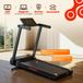 FT62 tapis de course électrique - 1-16 km/h - Inclinaison automatique jusqu'à 18% - Pliable - Surface de course 43 x 120 cm - Moteur sans balais