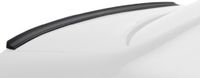 RDX Racedesign RDHL1160 achterlip universeel, lengte 116 cm, zwart, aantal 1