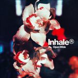 Universal Music Nederland Inhaler Open Wide (LP)