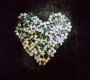 Alkaline Trio This Addiction