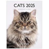 DRAEGER PARIS 1886 Kleine wandkalender katten 2025, 14 x 18 cm, september 2024 tot december 2025, 12 foto's, 7 talen, hoogwaardig papier, compacte en elegante organisatie, ideaal als cadeau